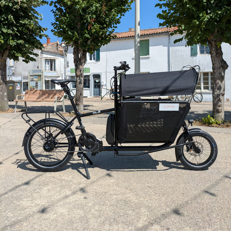 muli profil.CFaryWdG